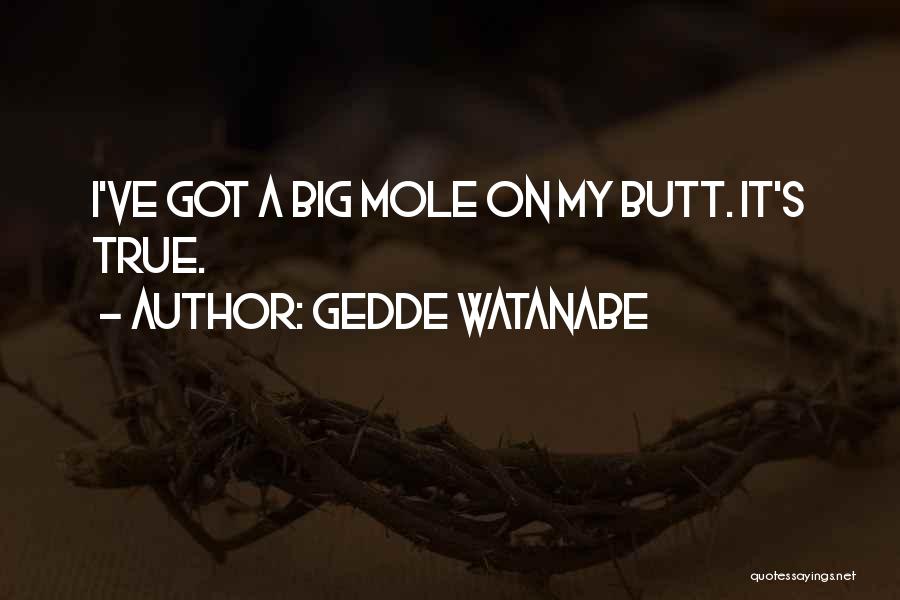 Gedde Watanabe Quotes 343770