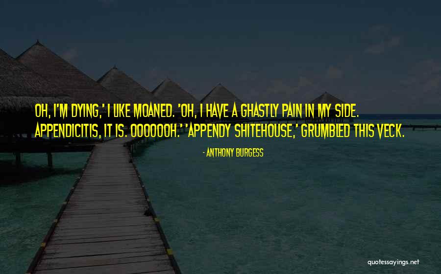 Geeignet Magyarul Quotes By Anthony Burgess Geeignet Magyarul Quotes By Anthony Burgess