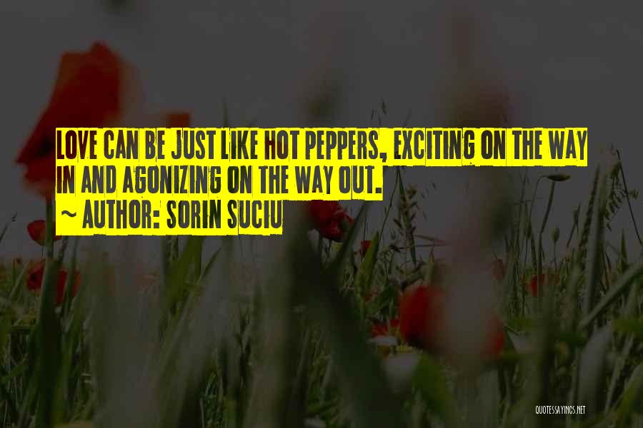 Geek Love Quotes By Sorin Suciu