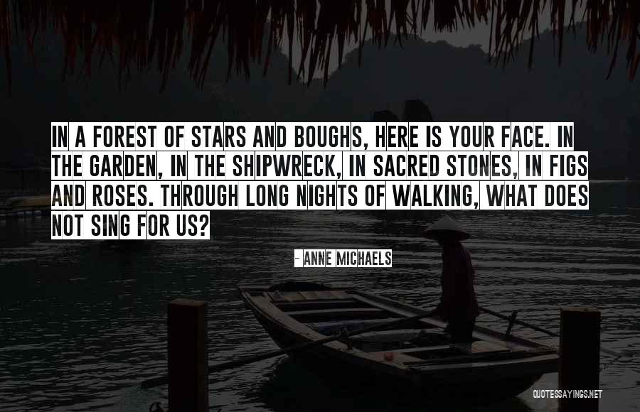 Geheime Bewonderaar Quotes By Anne Michaels
