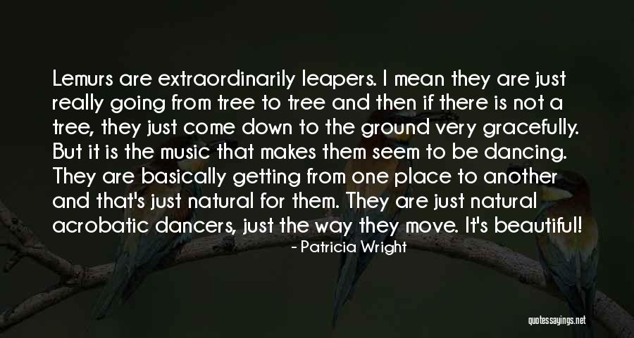 Geisha Life Quotes By Patricia Wright Geisha Life Quotes By Patricia Wright
