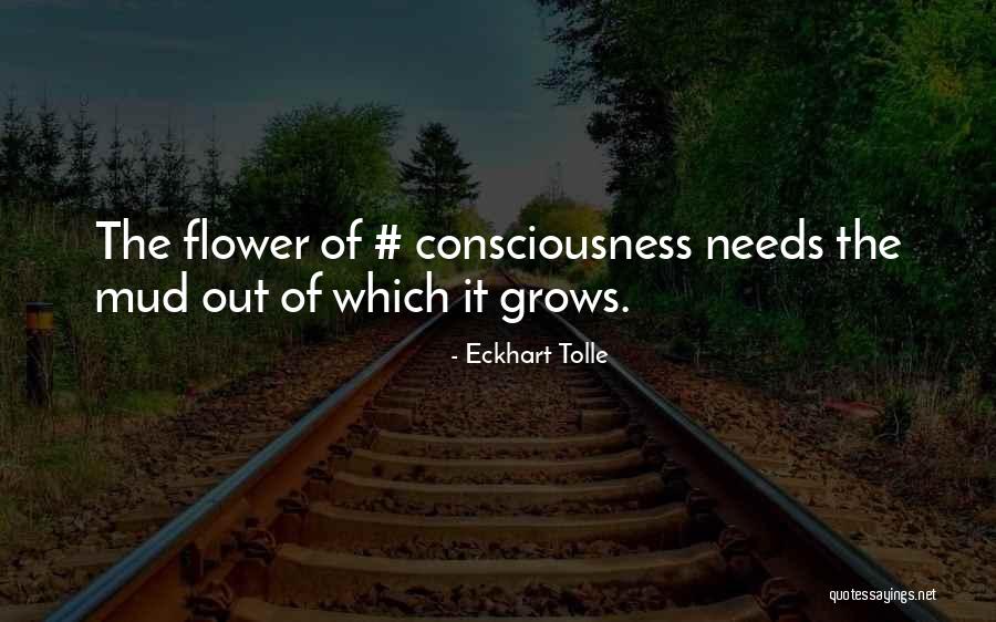 Geissman Chiropractic Quotes By Eckhart Tolle Geissman Chiropractic Quotes By Eckhart Tolle