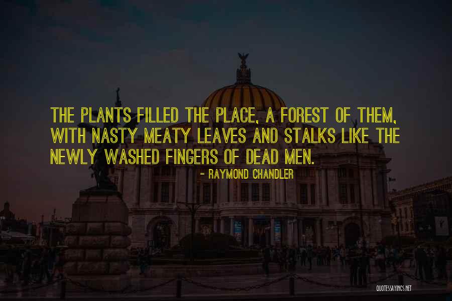 Geisteskrankheiten Quotes By Raymond Chandler Geisteskrankheiten Quotes By Raymond Chandler