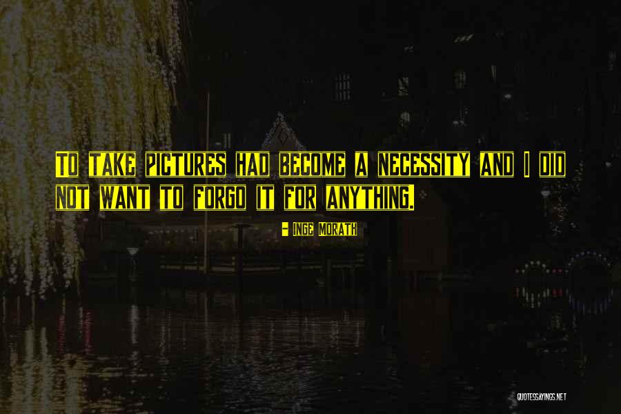 Gekeerd Schaap Quotes By Inge Morath Gekeerd Schaap Quotes By Inge Morath