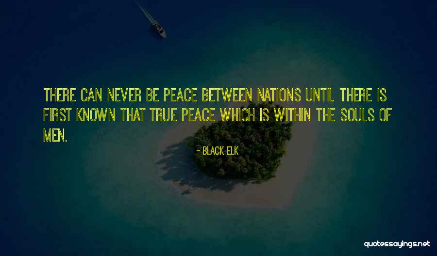 Geladeira Consul Quotes By Black Elk Geladeira Consul Quotes By Black Elk