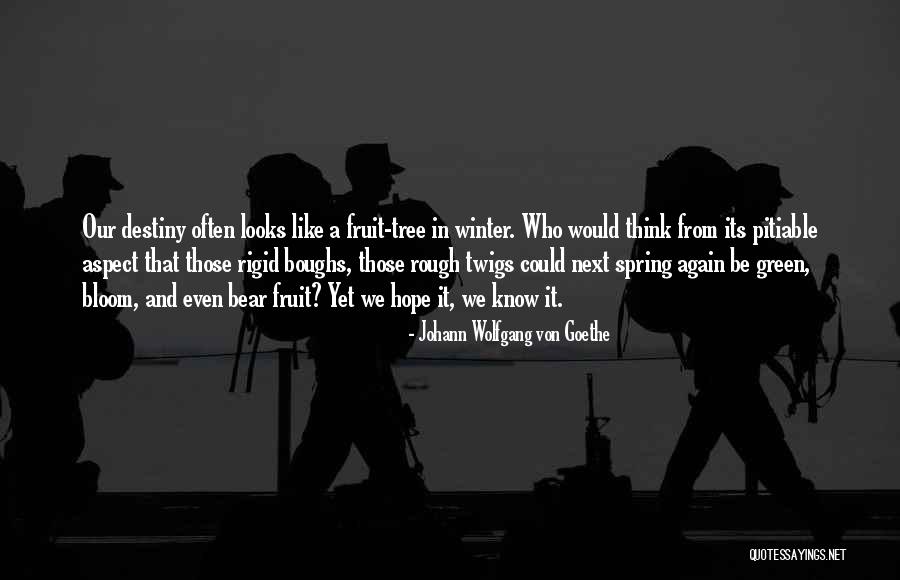 Gelang Quotes By Johann Wolfgang Von Goethe Gelang Quotes By Johann Wolfgang Von Goethe