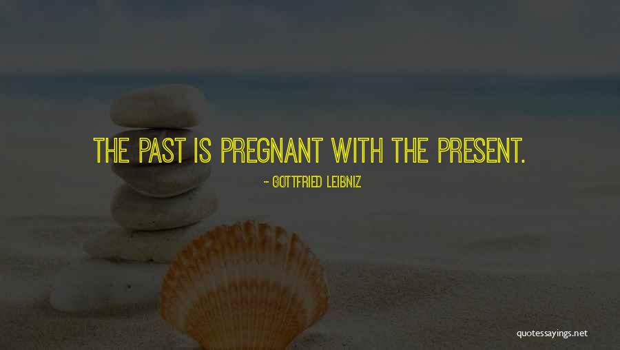 Gelato Strain Quotes By Gottfried Leibniz Gelato Strain Quotes By Gottfried Leibniz
