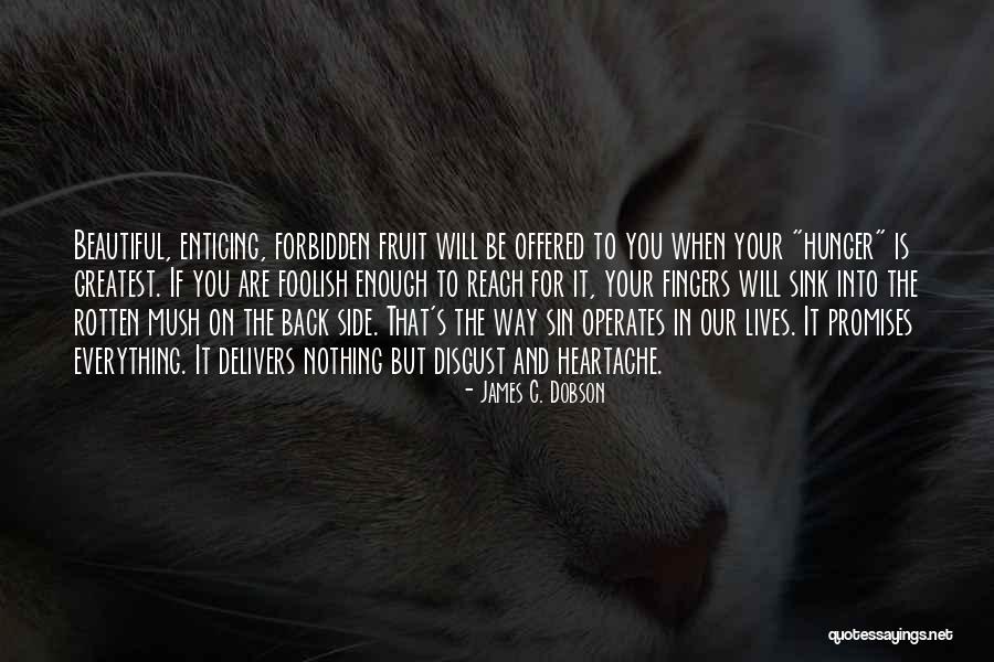 Geldtransport Quotes By James C. Dobson Geldtransport Quotes By James C. Dobson