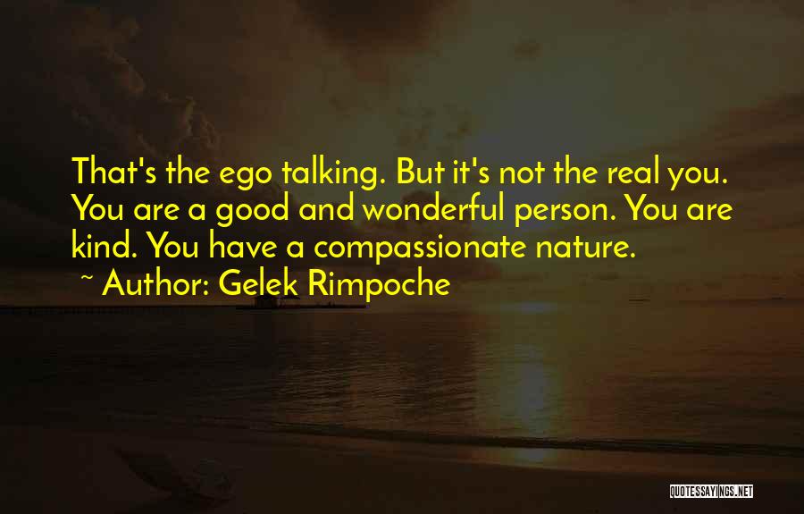 Gelek Rimpoche Quotes 1647680