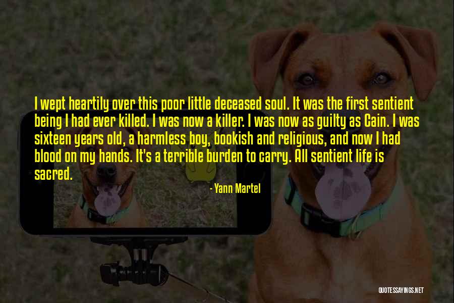 Gelido Definicion Quotes By Yann Martel Gelido Definicion Quotes By Yann Martel