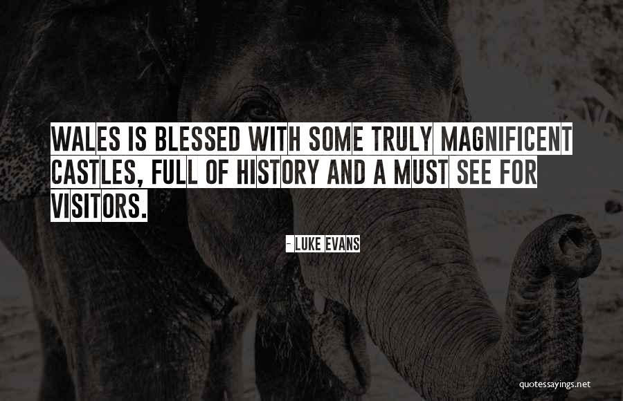 Gelii Clash Quotes By Luke Evans Gelii Clash Quotes By Luke Evans