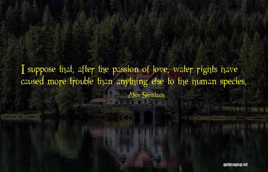 Gelijkmatig Continu Quotes By Alice Steinbach Gelijkmatig Continu Quotes By Alice Steinbach