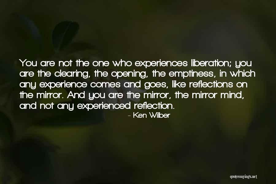 Gelman Work On Children Quotes By Ken Wilber Gelman Work On Children Quotes By Ken Wilber