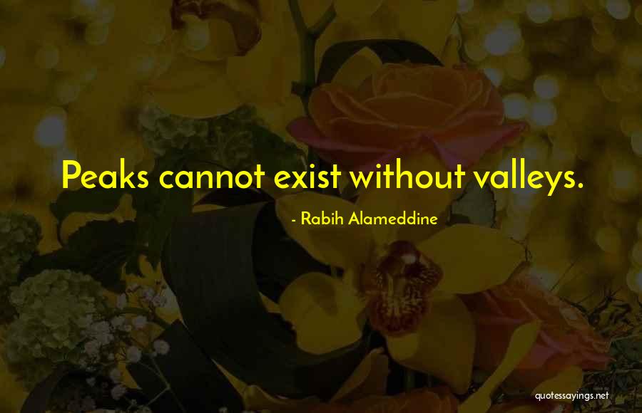 Geminar Quotes By Rabih Alameddine Geminar Quotes By Rabih Alameddine