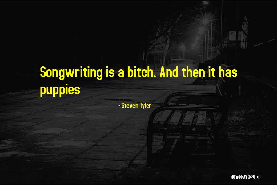 Geminiano Cozzi Quotes By Steven Tyler Geminiano Cozzi Quotes By Steven Tyler