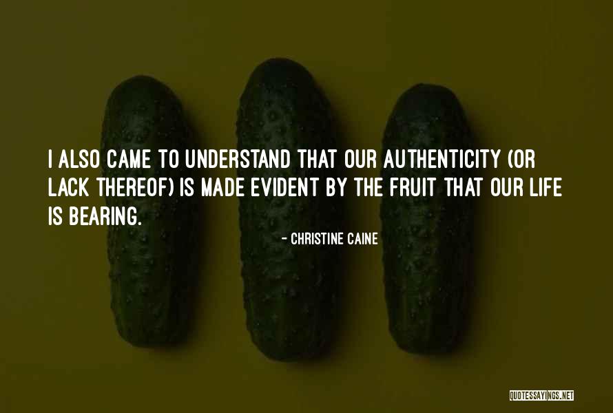 Geminids 2020 Quotes By Christine Caine Geminids 2020 Quotes By Christine Caine