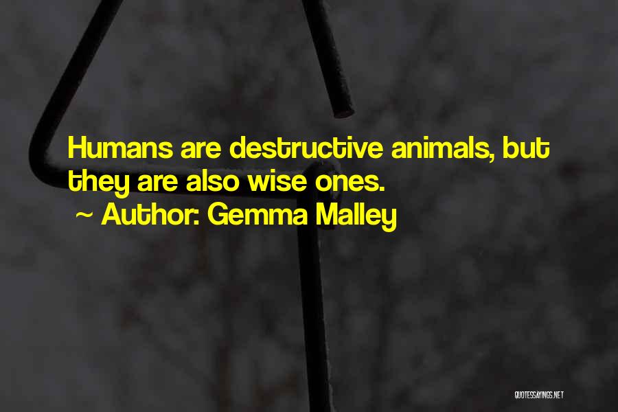 Gemma Malley Quotes 2153422