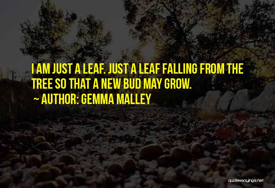 Gemma Malley Quotes 796118