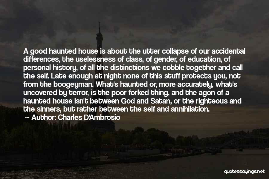 Gender Differences In Education Quotes By Charles D'Ambrosio