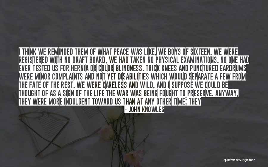 Gene A Separate Peace Quotes By John Knowles Gene A Separate Peace Quotes By John Knowles