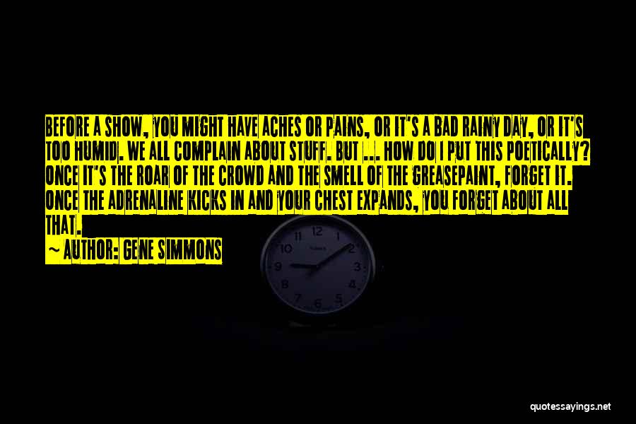 Gene Simmons Quotes 2004351