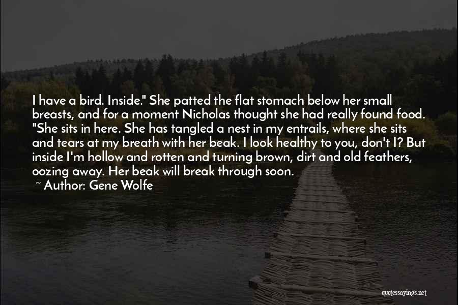 Gene Wolfe Quotes 752968