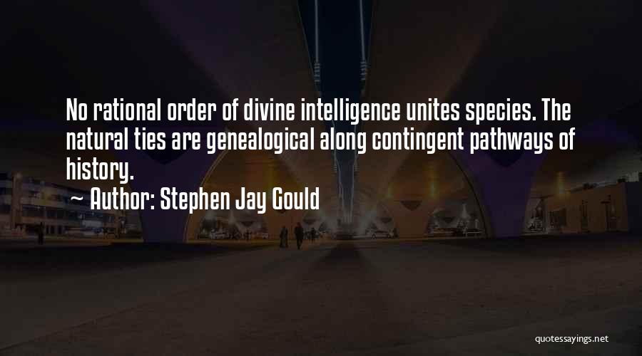 Genealogical Quotes By Stephen Jay Gould