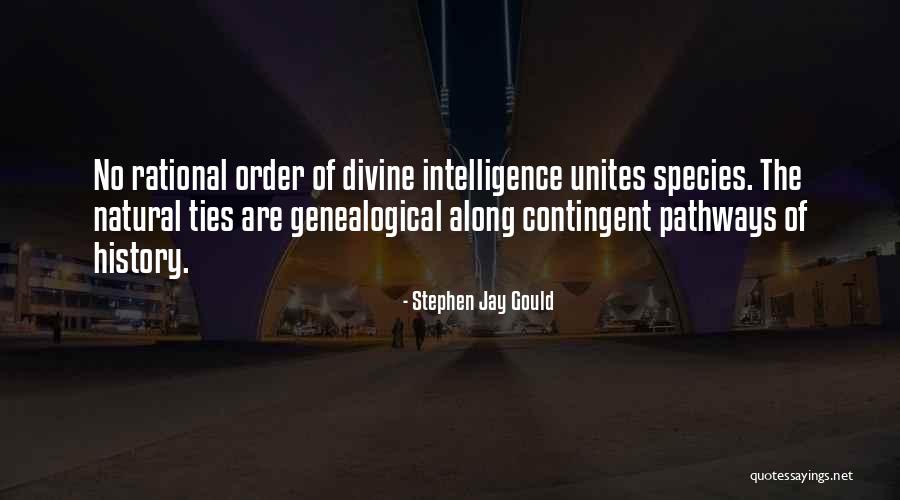 Genealogical Quotes By Stephen Jay Gould