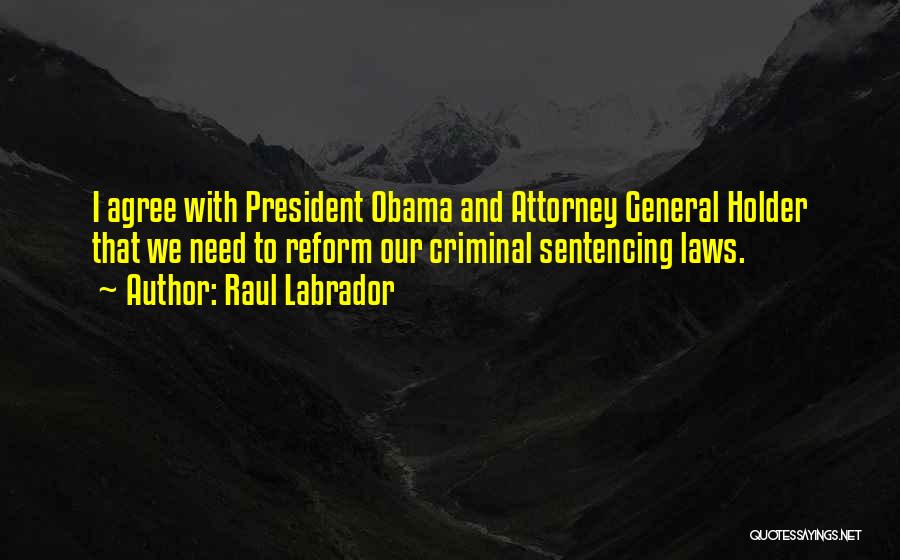 General Attorney Quotes By Raul Labrador