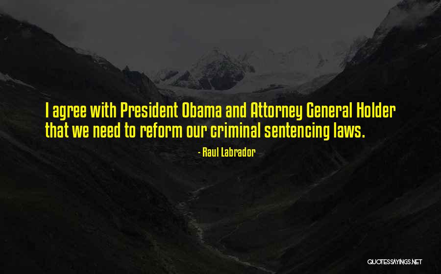 General Attorney Quotes By Raul Labrador General Attorney Quotes By Raul Labrador