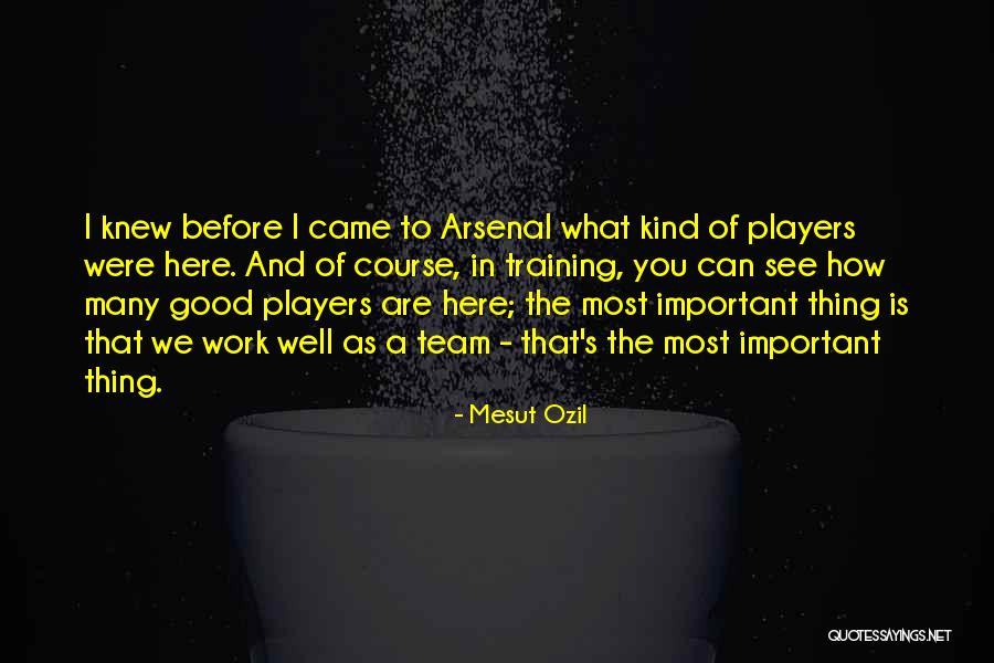 General Edmund Munger Quotes By Mesut Ozil General Edmund Munger Quotes By Mesut Ozil