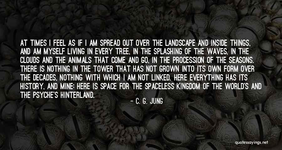 General Mcconville Quotes By C. G. Jung