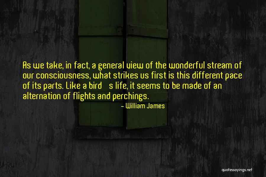 General Pace Quotes By William James General Pace Quotes By William James