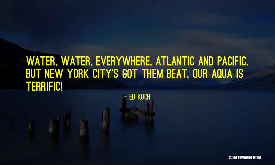 General Relativity Lectures Quotes By Ed Koch General Relativity Lectures Quotes By Ed Koch