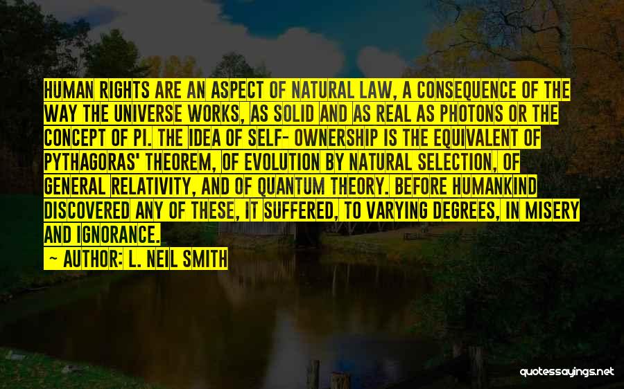 General Relativity Theory Quotes By L. Neil Smith