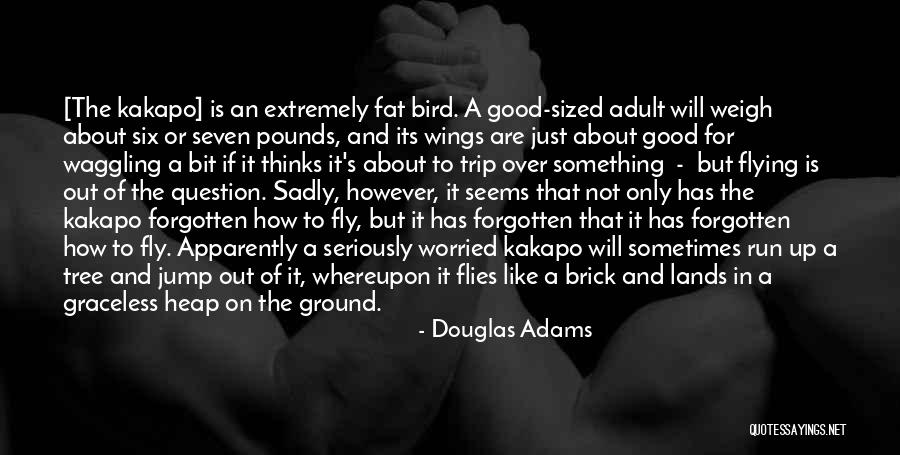 Generando Quotes By Douglas Adams Generando Quotes By Douglas Adams