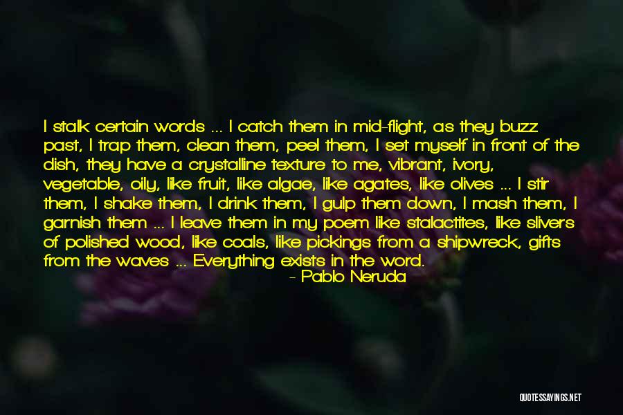 Generasi X Quotes By Pablo Neruda Generasi X Quotes By Pablo Neruda