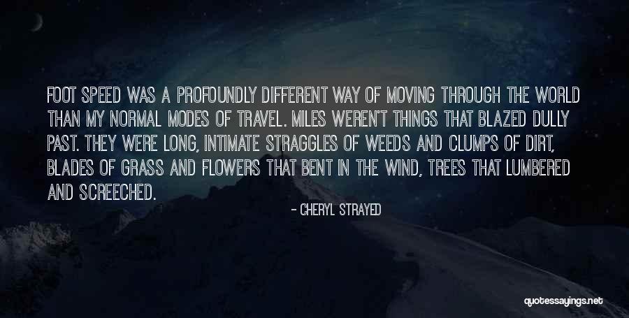 Generasia Perfume Quotes By Cheryl Strayed Generasia Perfume Quotes By Cheryl Strayed