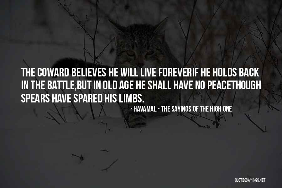 Generational Trama Quotes By Havamal - The Sayings Of The High One Generational Trama Quotes By Havamal - The Sayings Of The High One