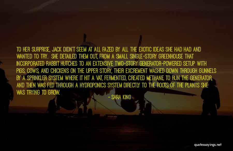 Generator Quotes By Sara King Generator Quotes By Sara King
