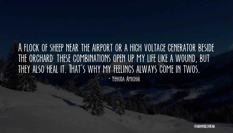 Generator Quotes By Yehuda Amichai Generator Quotes By Yehuda Amichai