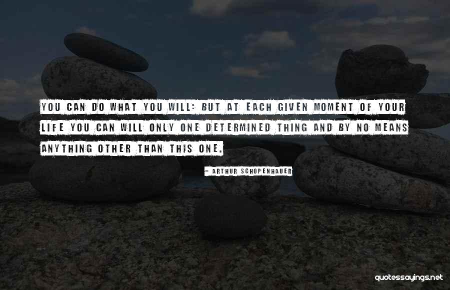 Generic Birthday Card Quotes By Arthur Schopenhauer Generic Birthday Card Quotes By Arthur Schopenhauer