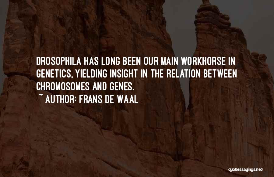 Genes Genetics Quotes By Frans De Waal