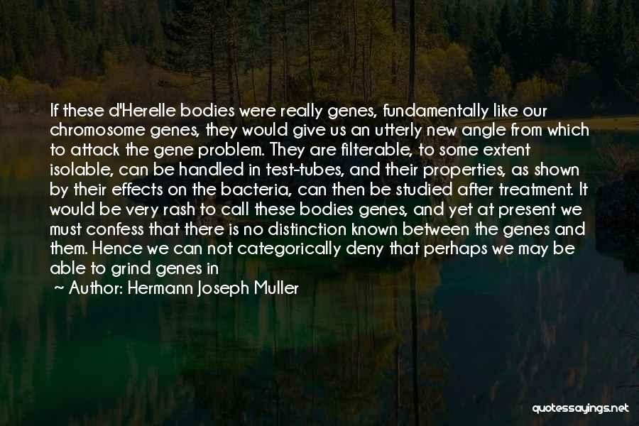 Genes Genetics Quotes By Hermann Joseph Muller