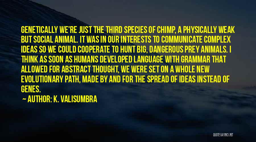 Genes Genetics Quotes By K. Valisumbra