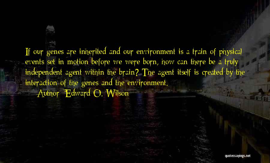 Genes Quotes By Edward O. Wilson