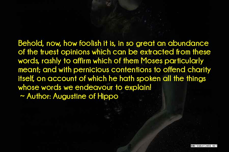 Genesis 1 Quotes By Augustine Of Hippo