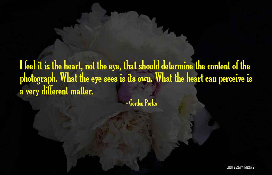 Genesis Ffvii Quotes By Gordon Parks Genesis Ffvii Quotes By Gordon Parks
