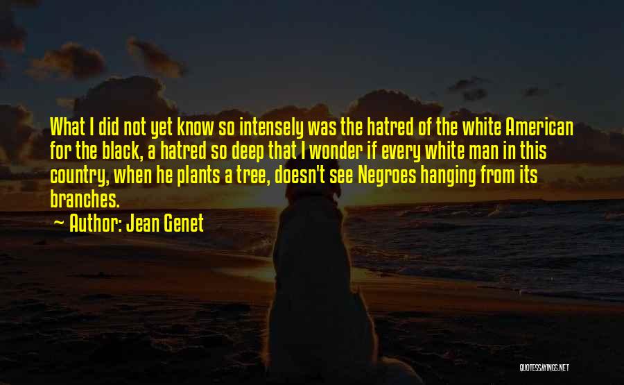 Genet Quotes By Jean Genet