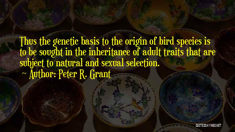 Genetic Inheritance Quotes By Peter R. Grant